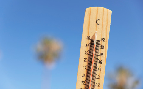 Ferragosto rovente, fino a 36 gradi e notti tropicali