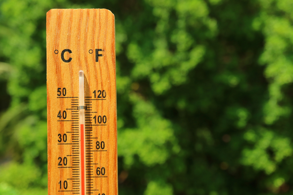 Caldo intenso, temperature elevate anche nei prossimi giorni