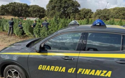 Truffa porta a porta: 1.200 donne anziane raggirate per 2,5 milioni