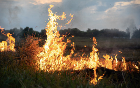 Incendio distrugge negozio di frutta a Turbigo