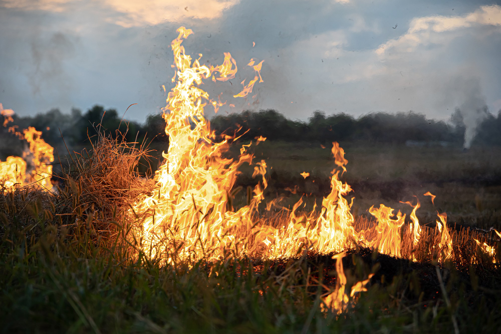 Incendio distrugge negozio di frutta a Turbigo