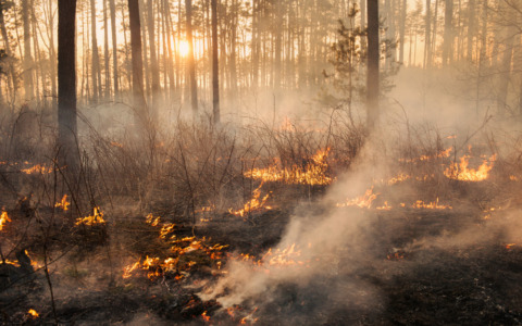 Incendio all’impianto A2a, vigili del fuoco in azione per la bonifica