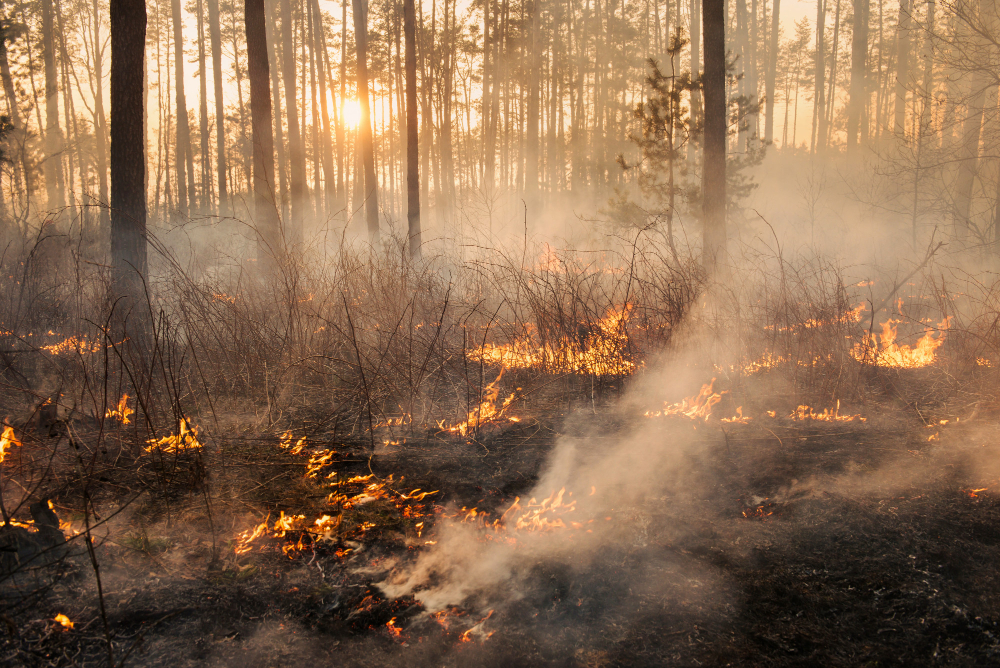 Incendio all’impianto A2a, vigili del fuoco in azione per la bonifica
