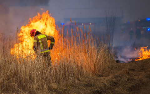Incendio in un appartamento a Milano: evacuati per il fumo
