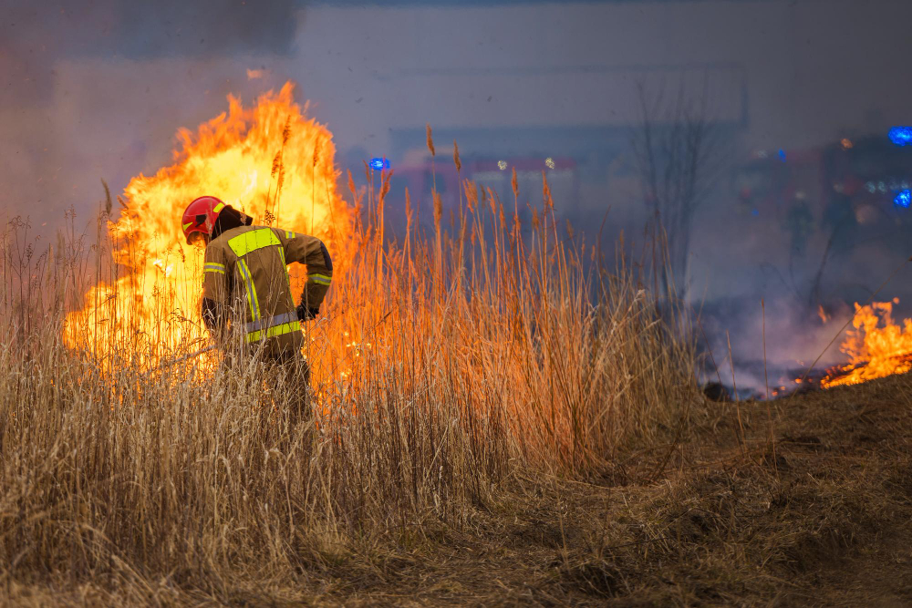 Incendio in un appartamento a Milano: evacuati per il fumo