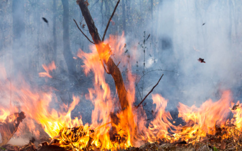 Fiamme nella notte, vigili del fuoco al lavoro fino all’alba