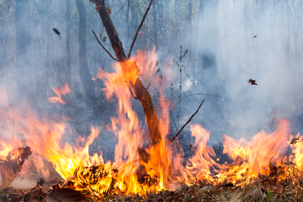 Fiamme nella notte, vigili del fuoco al lavoro fino all’alba
