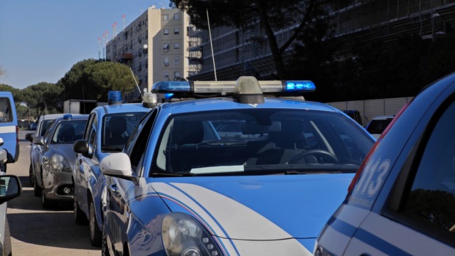Spari all’alba per il piano regionale contro i piccioni