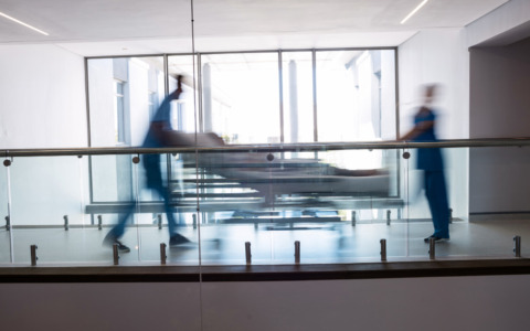 Analisi del sangue, come leggere i principali valori