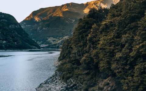 Nel Ticino parte il progetto europeo per foreste più resilienti