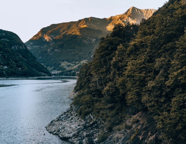 Nel Ticino parte il progetto europeo per foreste più resilienti